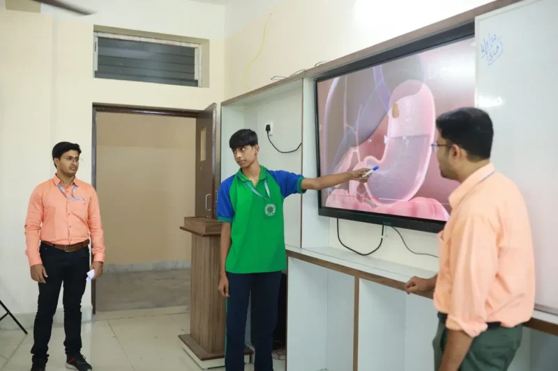 A science lesson on the human digestive system using the smart board